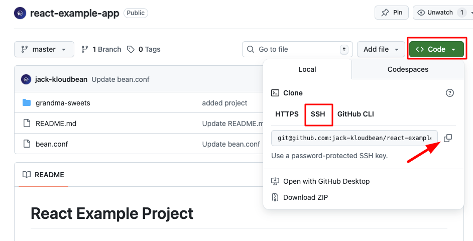 GitHub Private Repo Copy URL