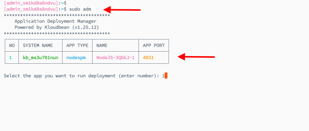 Node.js Single-Process ADM Step 1