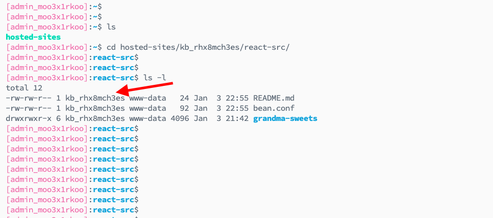 Shell Sysuser Permissions