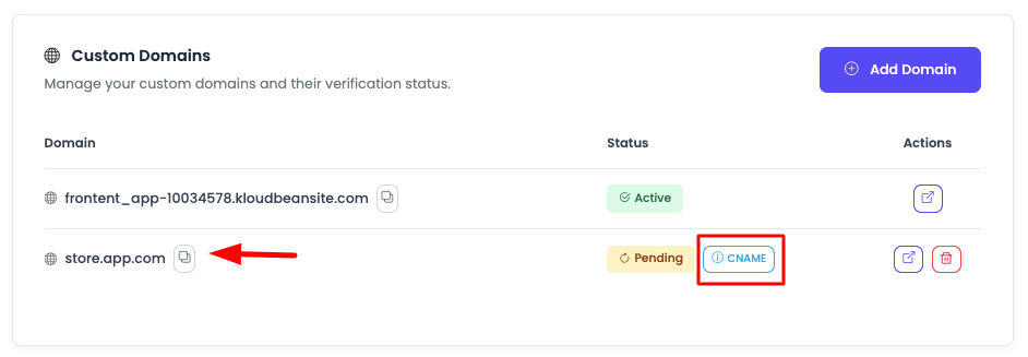 Domain Pending Status