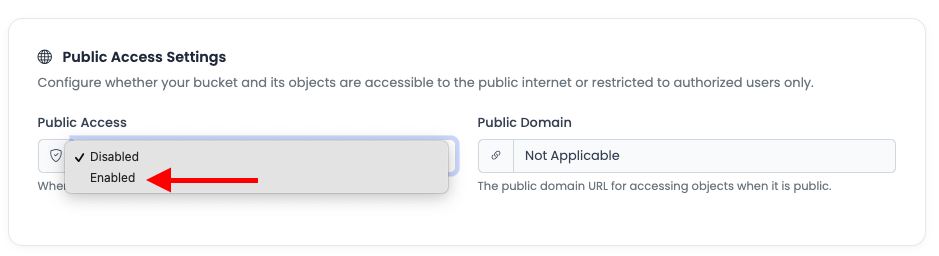 Enable Public Access